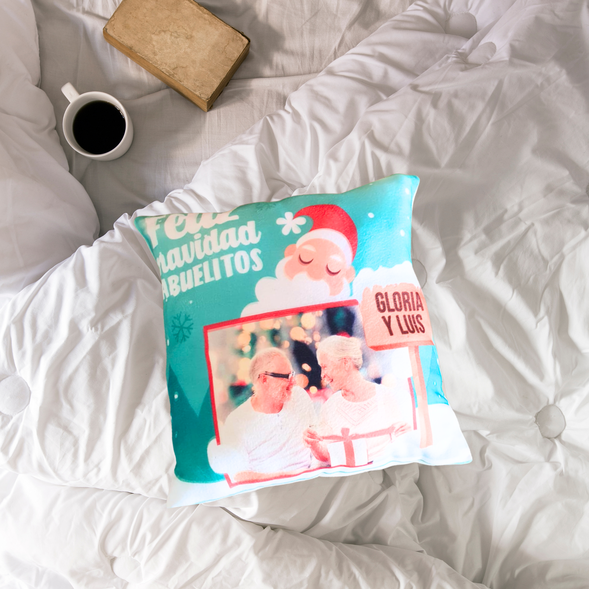 Maxi Almohada 45x45cm Polar